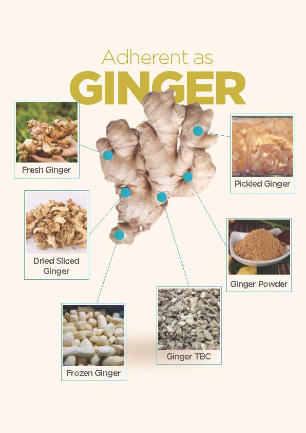 dace-ginger-organic