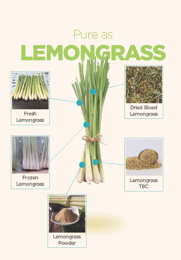 dace-organic-lemongrass
