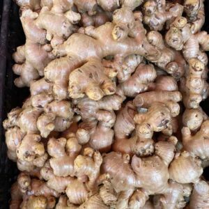 Dace-fresh-buffalo-ginger